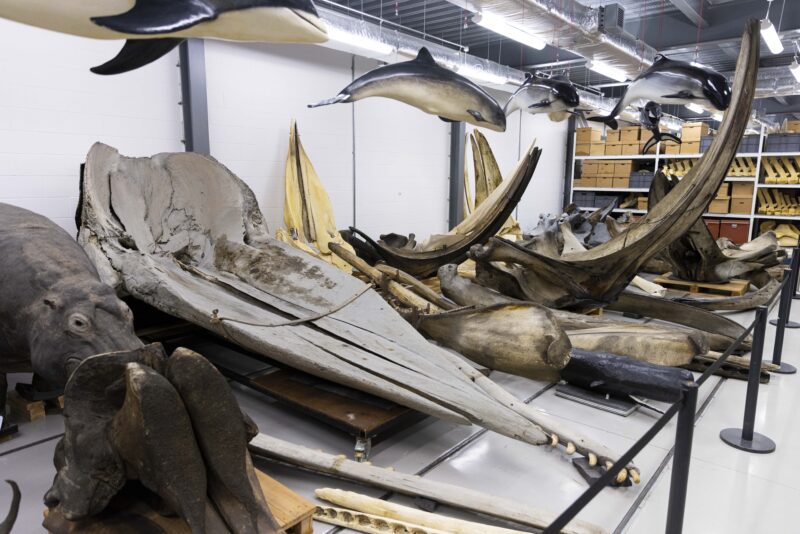 Image of old boats stored at the National Museums Collection Centre