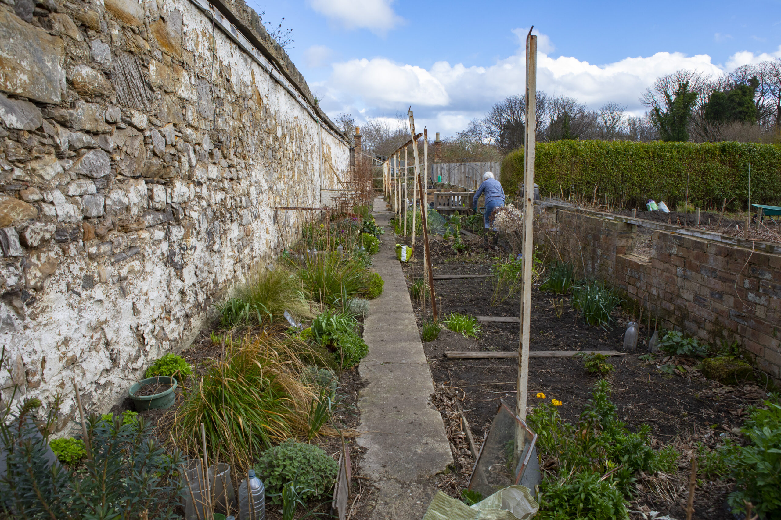 Image of the flowerbeds in Granton Castle Walled Garden